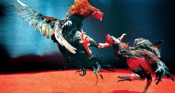 crickex-varirty-casino-games-img7